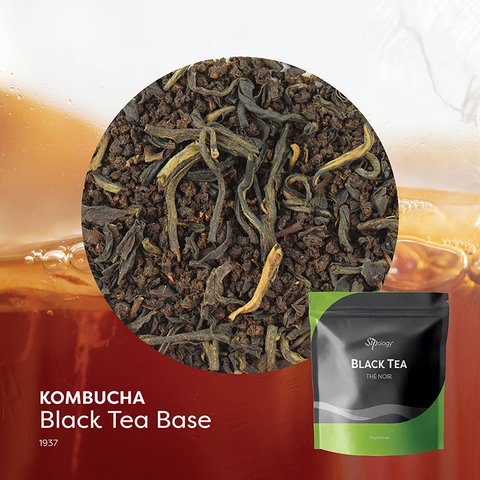 Kombucha Black Base