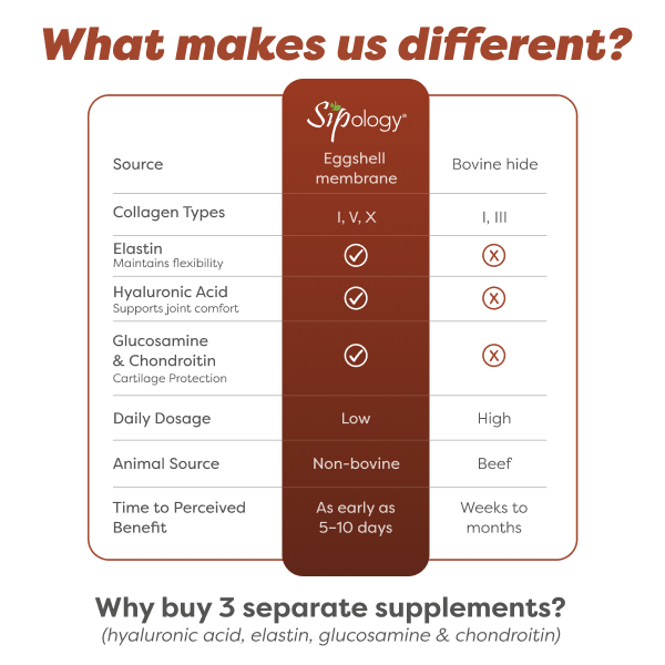 Chocolate Brownie Collagen Boost (15 pk)