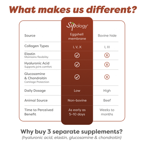 Chocolate Brownie Collagen Boost (15 pk)